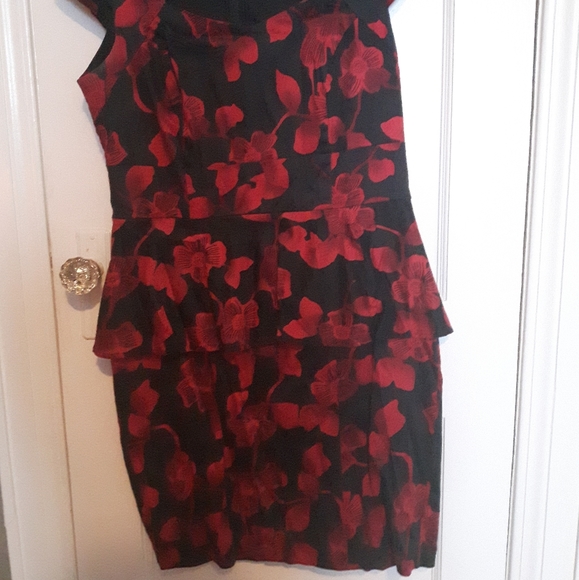 Black and Red Floral Dress - Picture 3 of 8